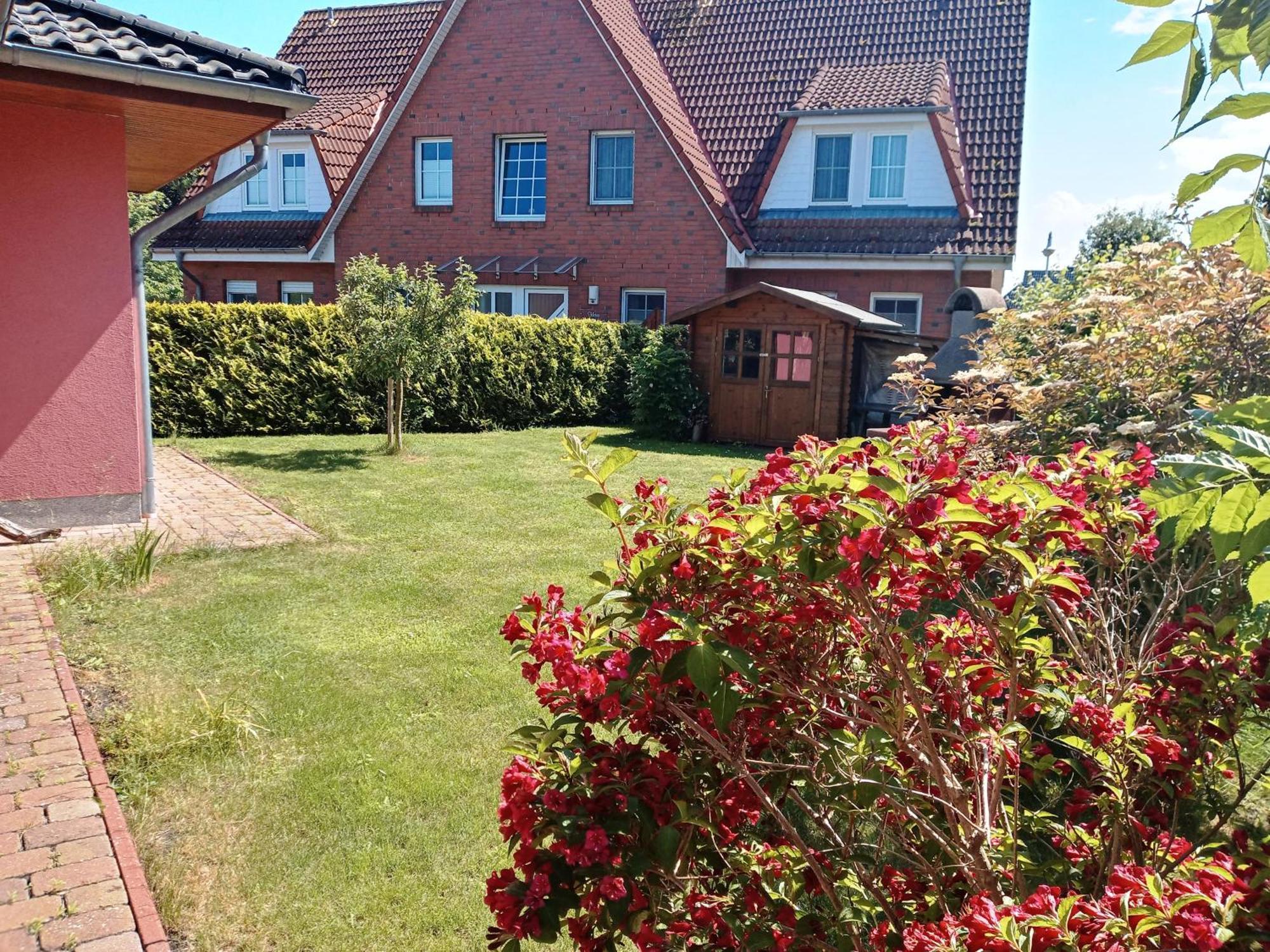 Villa Wuschels Hütt Ostseeheilbad Ostseeheilbad Zingst Exterior foto